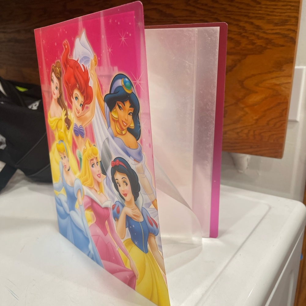 Beautiful Disney Princesses Design Presentation Portfolio Binder